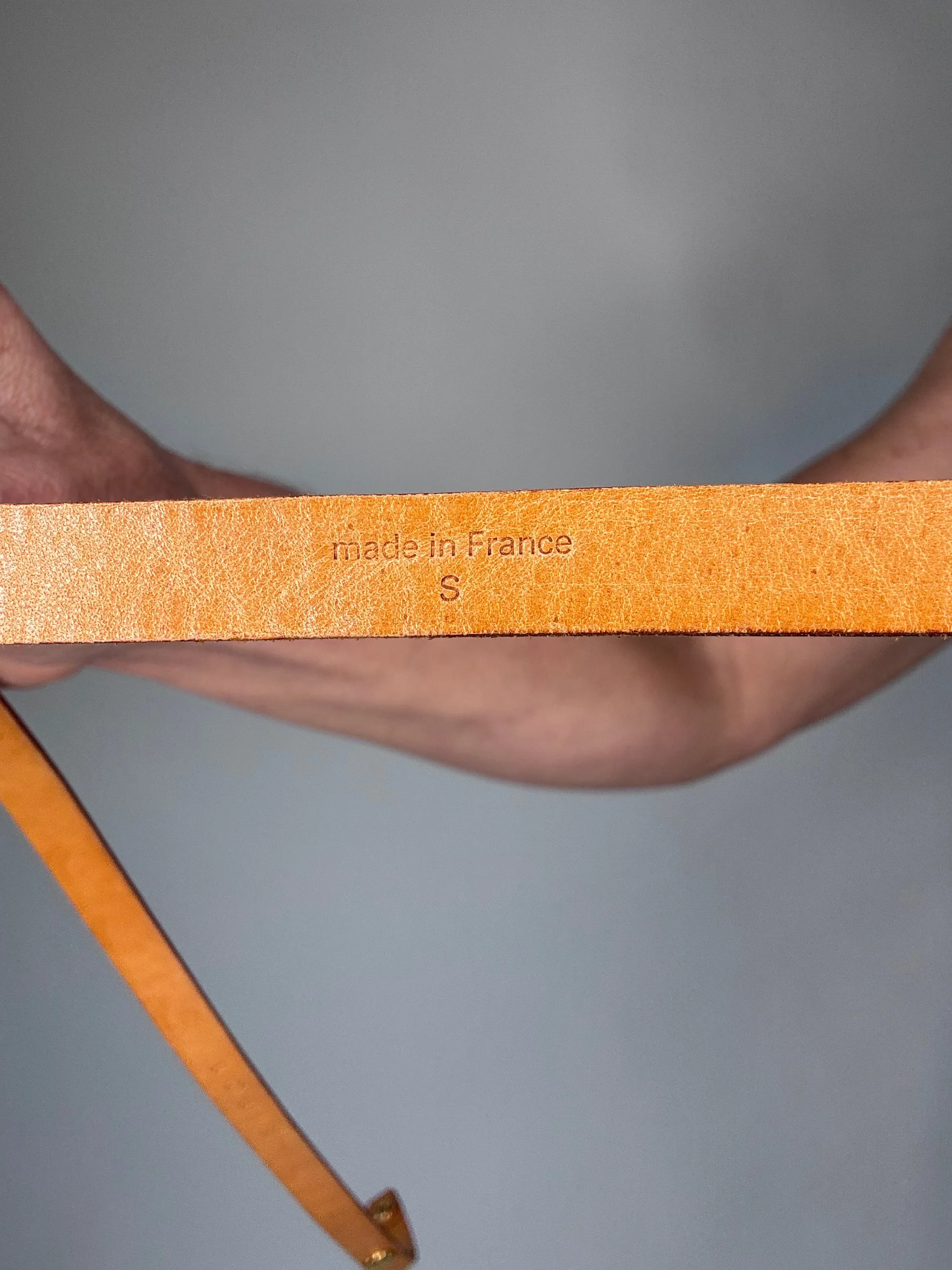 Louis Vuitton Florentine Vintage Belt Bag