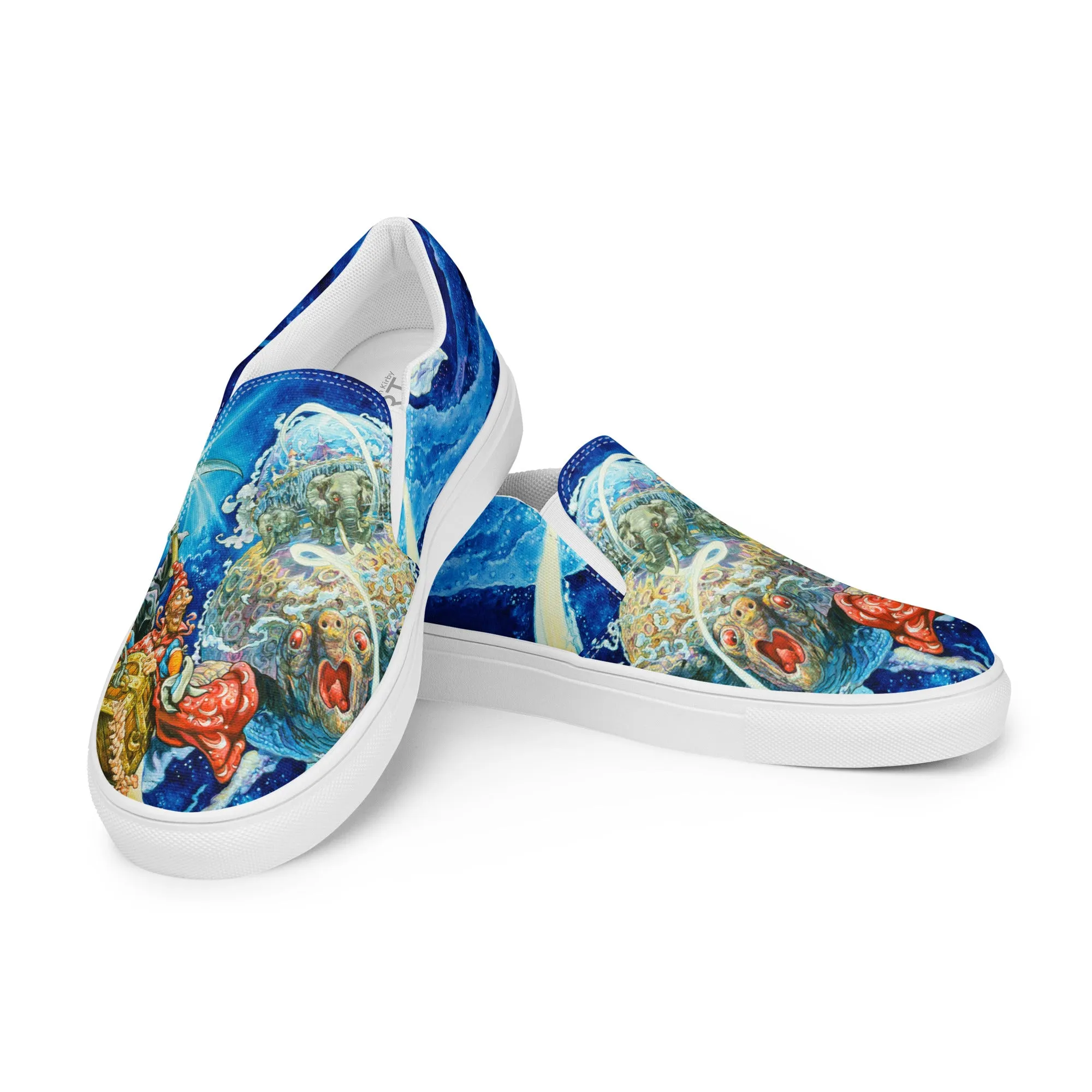 Men’s Discworld III slip-on canvas shoes *US SIZES SHOWN! USE CHART!