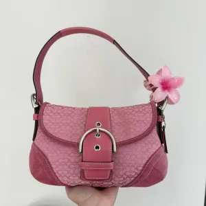 Vintage Coach